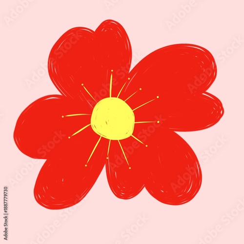 Hand drawn illustration single flower red, background pink, hand drawn 