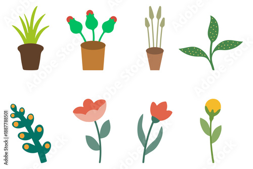 Collection of Potted Plants and Flowers