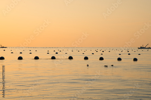 Wallpaper Mural Sunrise Over a Quiet Oyster Farming Bay in Japan Torontodigital.ca