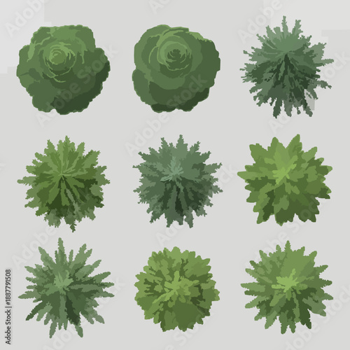 3D Fir Spruce Pine Tree Shapes Cutout Vector Set for Landscape Architecture