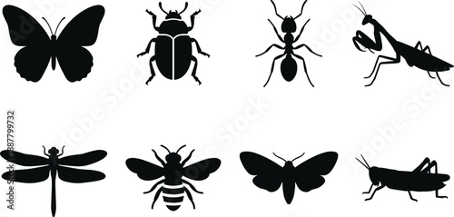 Black insect silhouette icons set, butterfly beetle ant mantis dragonfly bee grasshopper collection, wildlife symbols, flat vector illustration