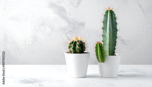 Wallpaper Mural Three cacti in white pots against a marbled background Torontodigital.ca