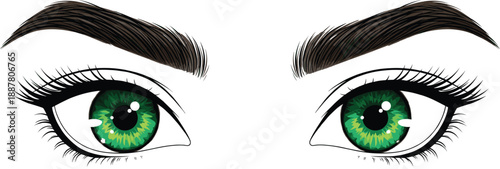 Beautiful Female Eyes Illustration with Green Iris and Long Eyelashes for Beauty Makeup and Fashion Design
