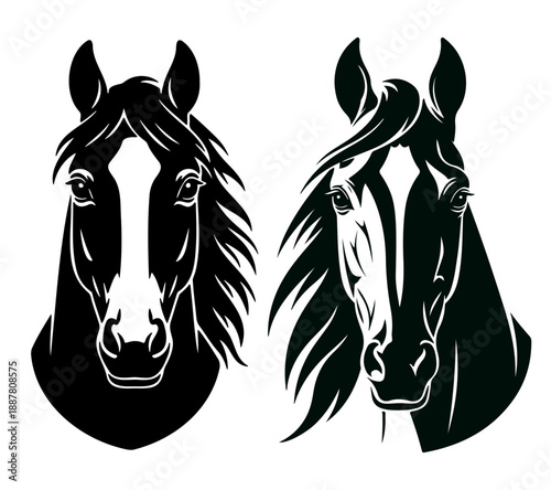 Two horse heads silhouette isolated on white background
