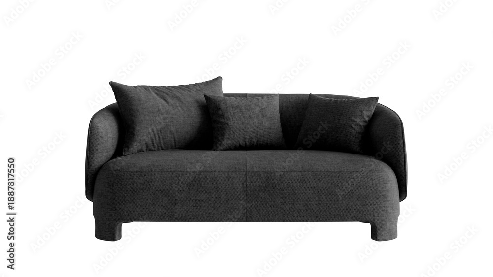 Obraz premium Modern black sofa with pillows on an isolated background. 