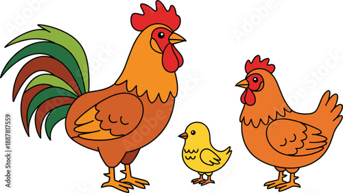 Cute farm chicken family illustration featuring rooster hen and chick colorful cartoon animals domestic birds farmyard character design vector artwork set