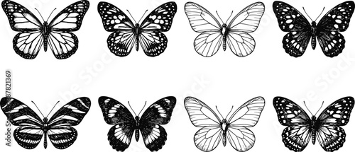 Collection, of, diverse, butterfly, illustrations, featuring, various, species, in, detailed, black, and, white, sketches, isolated, on, white, background, nature, set