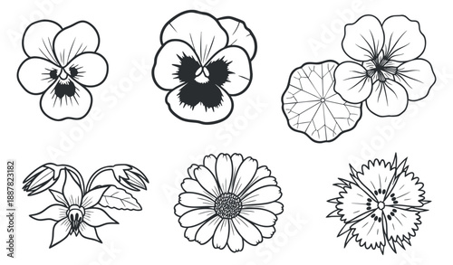 A collection of six flower illustrations including pansies, daisies, and other blossoms in black and white outline style, perfect for botanical design projects