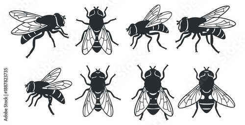A collection of various bee and fly illustrations in black and white minimalist vector style, suitable for educational materials and nature-themed designs