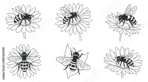 A collection of bee and flower illustrations featuring bees on daisies in black and white outline vector style, perfect for nature-themed design projects