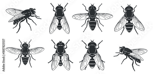 A set of eight stylized bee illustrations in black and white vector style, ideal for nature-themed designs and educational materials