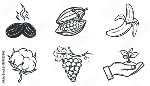 A collection of coffee beans, cocoa pods, bananas, grapes, cotton, and a hand holding a plant in black and white outline vector style, perfect for agricultural and organic branding