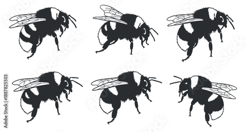 A collection of six bees in black and white vector style, perfect for environmental and educational projects