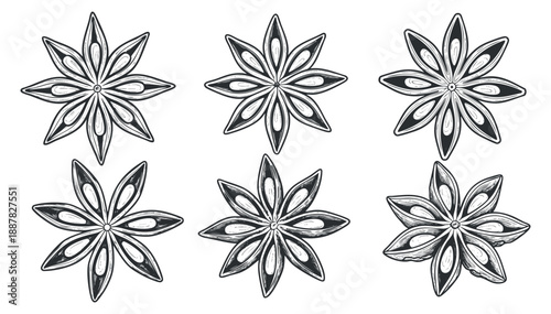 A collection of six decorative flower designs in intricate black and white outline vector style, perfect for artistic projects and branding