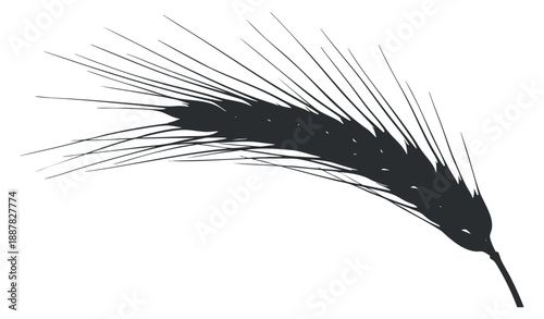 A black silhouette of a wheat ear in minimalist vector style, ideal for organic food branding and agricultural design