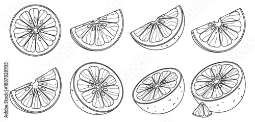 A set of citrus fruit slices including lemon, lime, and orange in black and white outline vector style, perfect for food-related designs