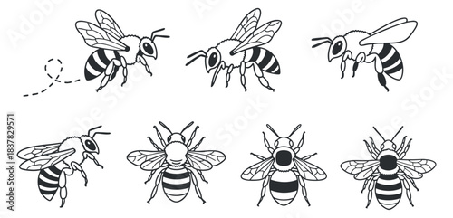 A collection of bee illustrations in black and white minimalist vector style, ideal for nature-themed designs or educational projects