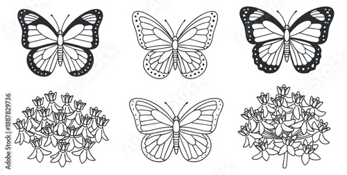 A collection of butterfly and flower illustrations in black and white outline vector style, perfect for coloring books and nature-themed designs