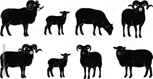 Farm animal silhouettes vector set featuring standing rams, grazing sheep and cute lambs isolated on white background for designFarm 