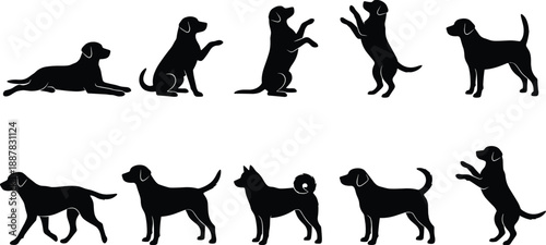 Set of black vector silhouettes featuring dogs playing, sitting, standing, and walking, isolated on white background for pet design.