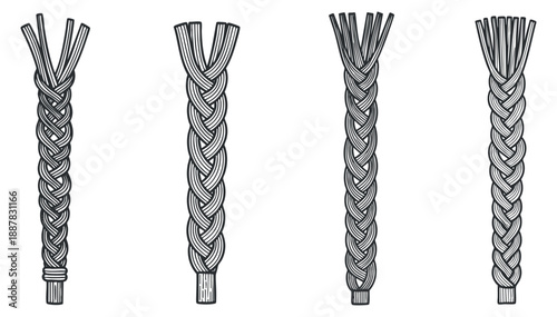 A collection of four different braid styles in detailed black and white vector illustration, ideal for beauty and haircare designs