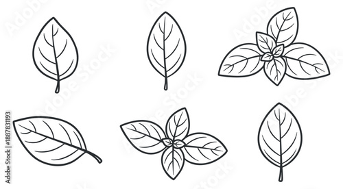A collection of six leaf illustrations in black outline vector style, ideal for nature-themed design projects