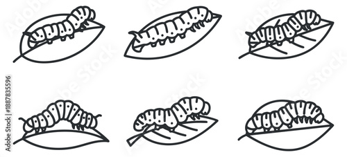 A set of six caterpillars on leaves in black and white outline vector style, ideal for educational and nature-themed projects