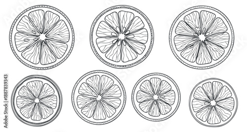 A set of lemon slices in black and white outline vector style, perfect for food-related designs and illustrations