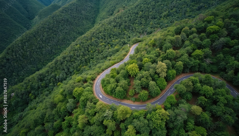 Obraz premium Winding road cuts through dense green forest on mountain slope. Aerial view shows lush trees and clear blue sky. Scenic drive through natural landscape.