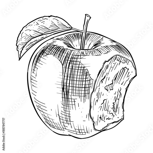 bitten apple vector line art hand drawn illustration