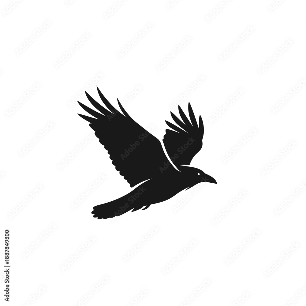 Fototapeta premium Black bird flying in air.