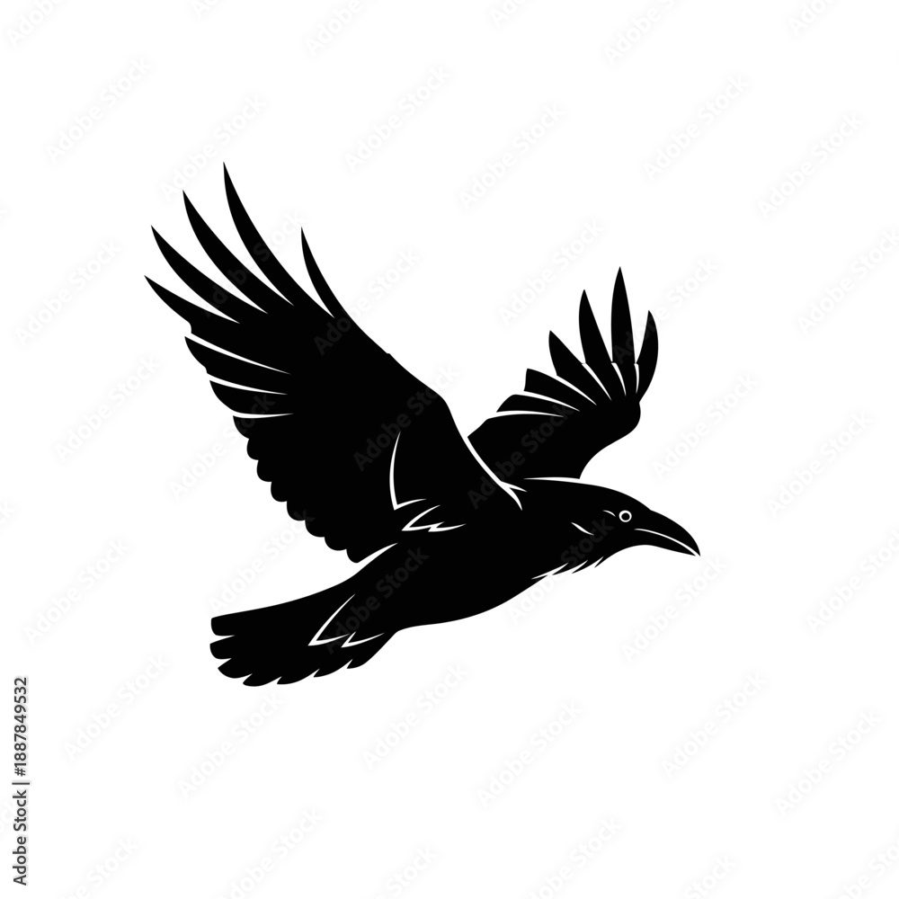 Obraz premium Black silhouette of flying raven bird.