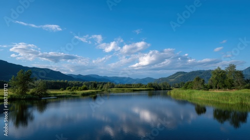 Tranquil Morning Reflection of Clouds in Calm Pond Beneath Blue Sky
