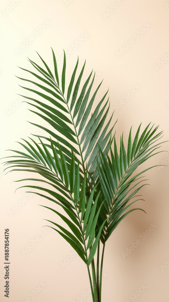 Fototapeta premium Fresh Palm Leaves Symbolizing Lent and Palm Sunday Spiritual Purity