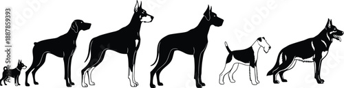 Black and White Silhouette Vector Illustration of Various Dog Breeds Including Great Dane Doberman Pinscher German Shepherd and Terrier Isolated on White Background for Design