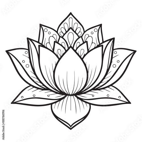 Black and White Lotus Flower with Intricate Line Details and Patterns