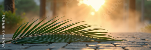 Palm Leaves on Stone as Lent Transition into Holy Week Symbol