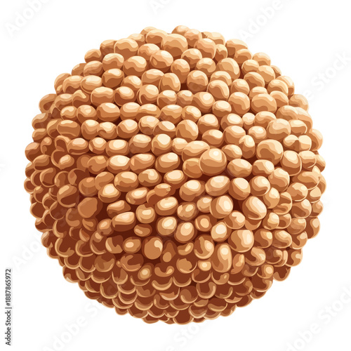 Close-up of brown spiky sphere isolated on white background, Vector, illustration