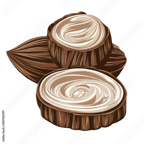 Cocoa pods and nibs isolated on white background, Vector, illustration