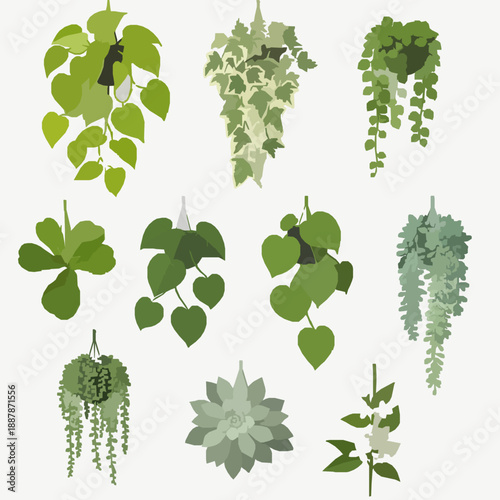 3D Hanging Creeper Plants Vector Set with Lifelike Trailing Leaves on White Background