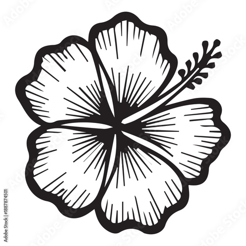 Black and White Simple Hand Drawn Hibiscus Flower Illustration