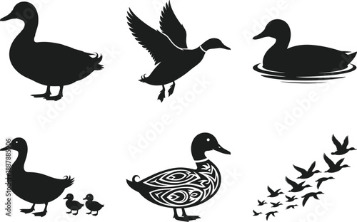 Duck Silhouette Vector Set with Flying, Swimming and Family Poses