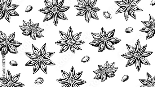 Fotografie Wooden Engraving Star Anise on Transparent Background