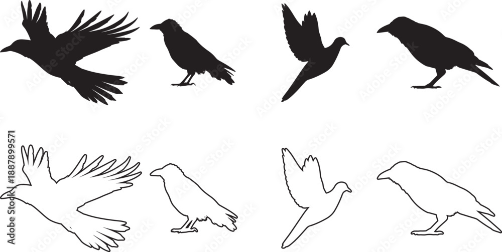 Obraz premium Swooping bird in flight silhouette minimalist black vector illustration flat design