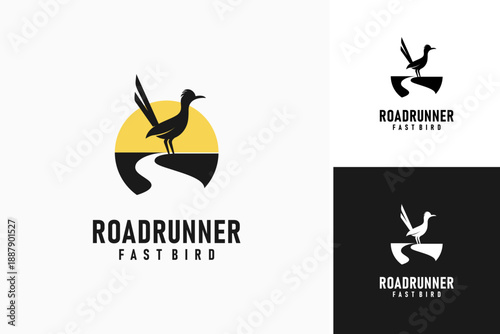 Roadrunner logo symbol icon design