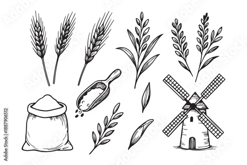 Minimal wheat grain icon set, Black cereal plant silhouette vector illustration
