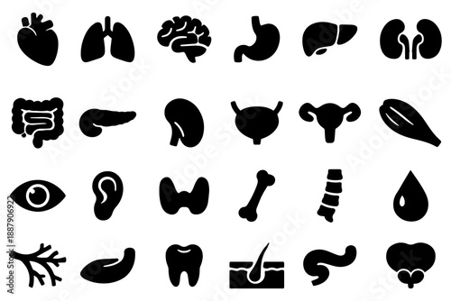 Medical organs icon set. Vector pictograms of anatomy