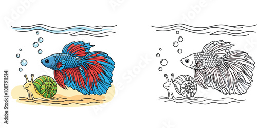 Cute cartoon betta fish and happy snail underwater vector illustration. Colorful aquarium pets swimming with bubbles on sandy bottom. Hand drawn marine animal design for kids or logo.