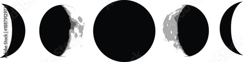 Detailed vector collection of moon phases featuring lunar cycle silhouettes from crescent to full moon for astronomy education, mystical branding, and celestial graphic design.