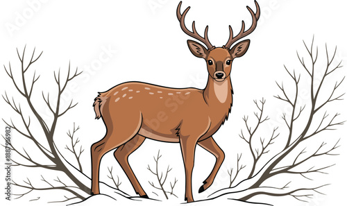 Young Brown Deer with Antlers and Winter Twigs  Vector Set
